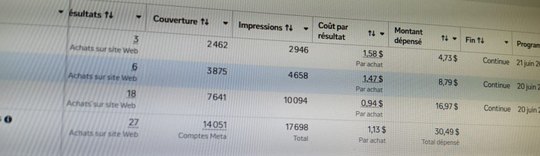 جدول Meta: 27 كوموند، 1,13 دولار للكوموند، 30,49 دولار مصروف